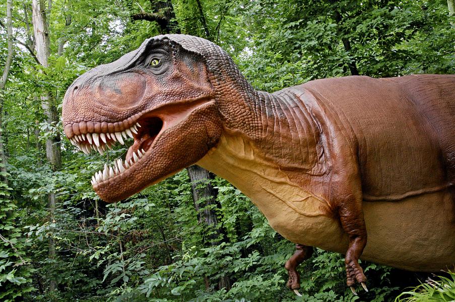 Dinosauriernas Tid på Parken Zoo