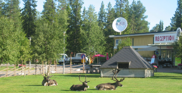 Camp Gielas ökar i populäritet