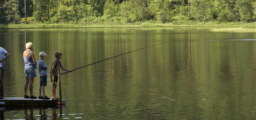 Enklare fiske i Småland
