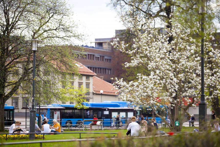 Aktiviteter i Borås