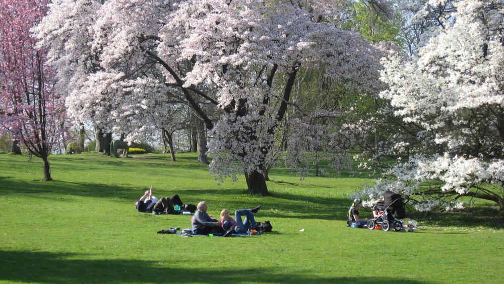 Världsmiljödagen på Botaniska