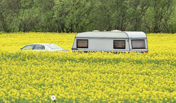 Tysk campingkatalog på nätet