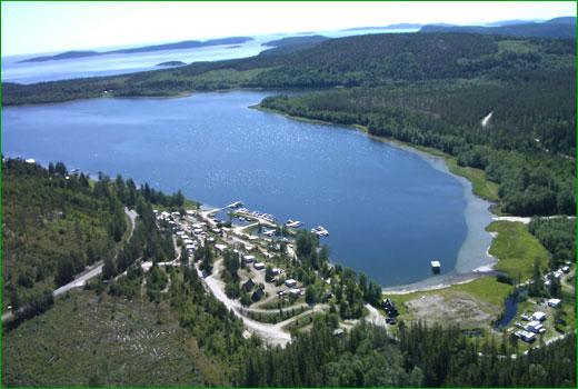 Nytt sätt att driva camping på