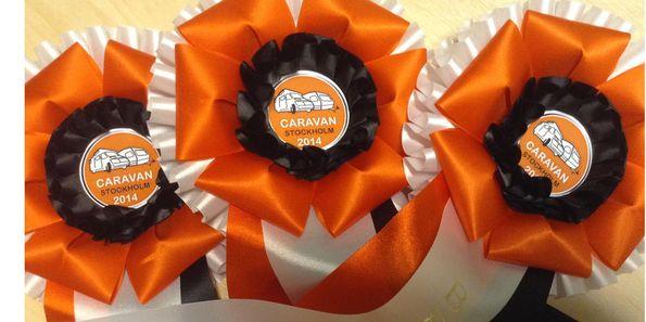 Vinnarna i Best in Show 2014