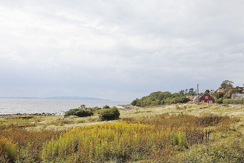 Strid om ställplatser i Vejbystrand