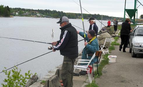 Stugsund ska locka fiskare