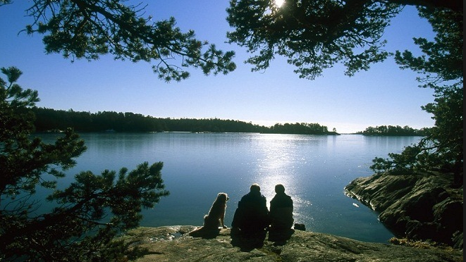 Restips: Vilthägn och viltrestaurang i Sörmland