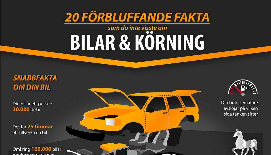 Vad du inte vet om bil och bilkörning