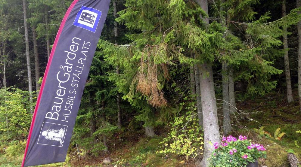 Mysig ställplats nära Jönköping