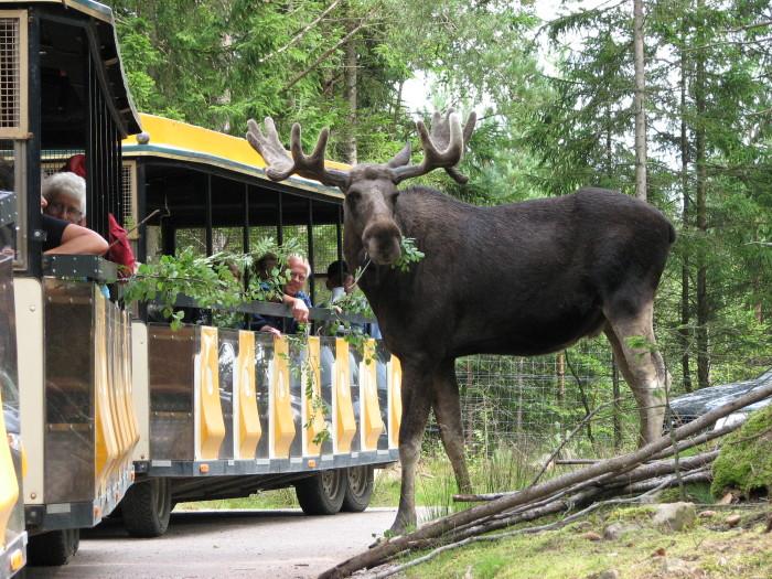 Nominering till Stora Turismpriset