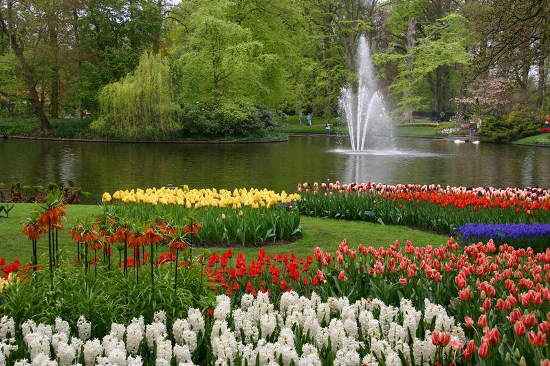 Restips: Van Gogh i Keukenhof