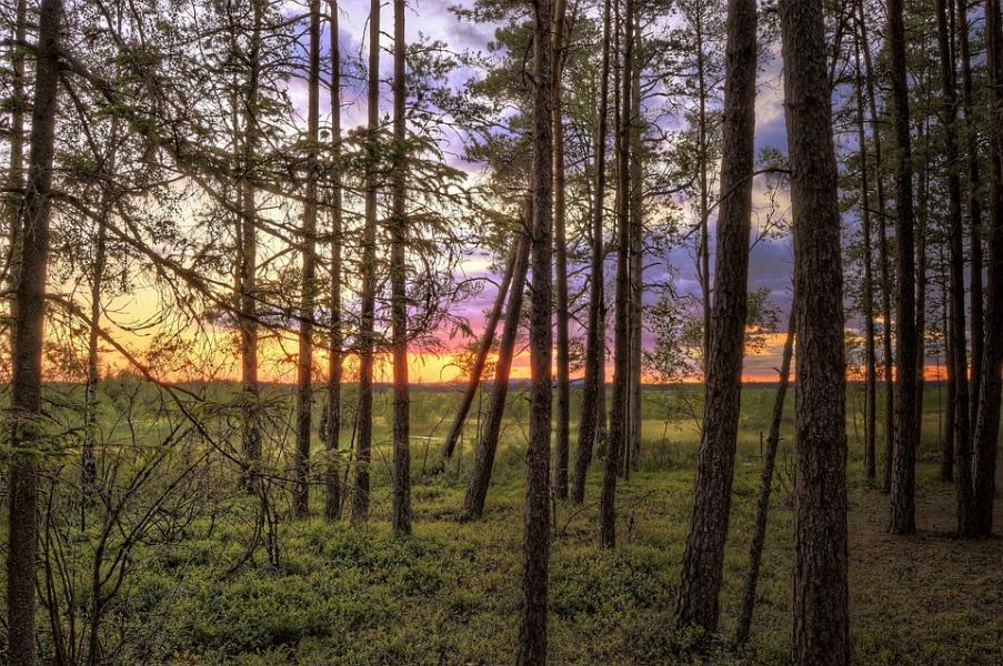 Restips: Store Mosse nationalpark