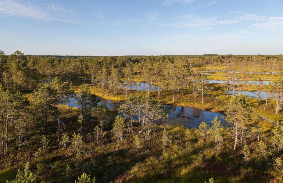 Restips: Lahemaa nationalpark