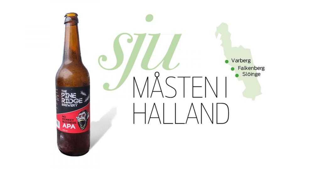 Sju måsten i Halland
