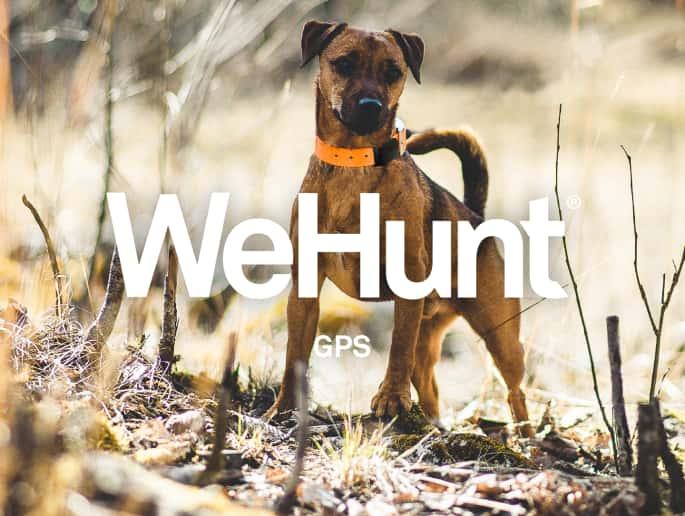 Normark och WeHunt lanserar hundpejl