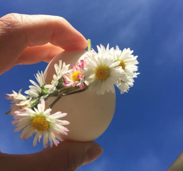 Finns Årets Äggrätt på midsommarbuffén?