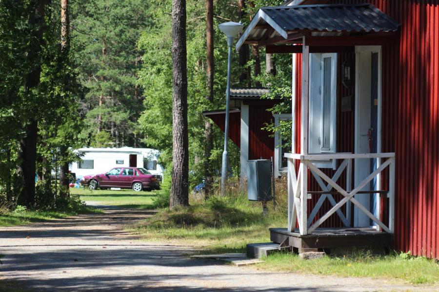 Naturcamping satsar på skogsplatser