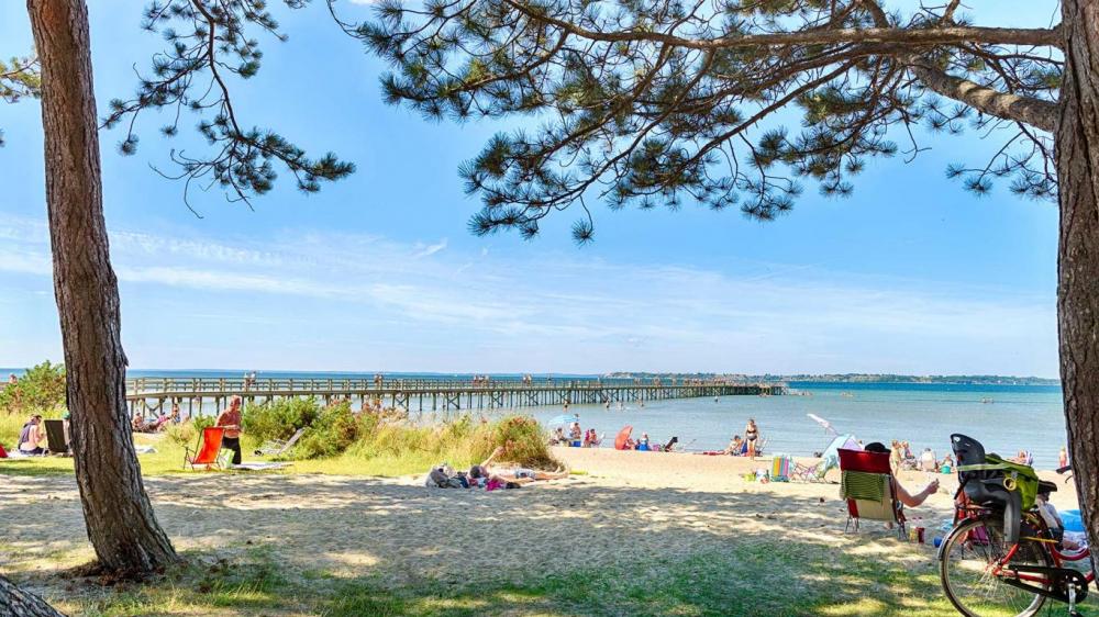 Borstahusen i Landskrona blir femstjärnig