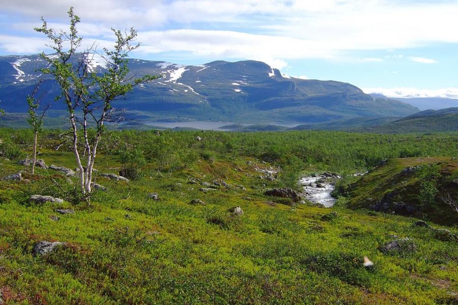 Stora Sjöfallets fjällanläggning får nytt liv
