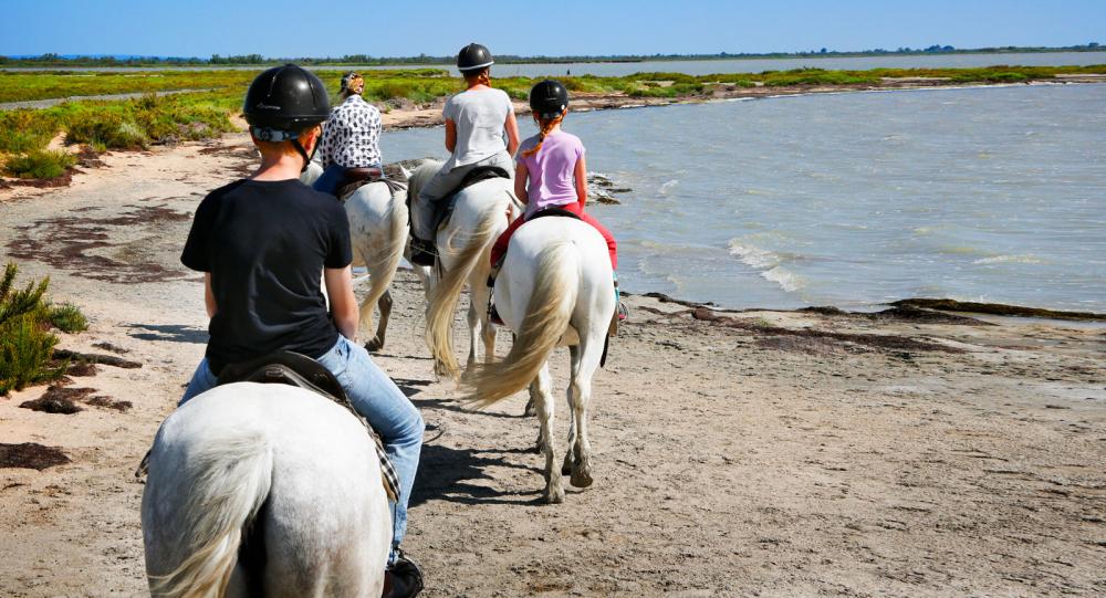Camargue - galopp i franska vidder
