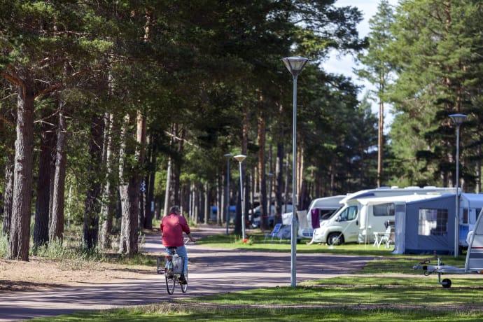 Besöksrekord på Svenska Campingpärlors anläggningar