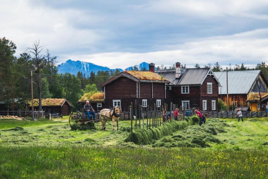 Norge får digital tjänst för lokala upplevelser