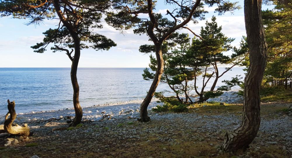 Torö, en pärla lite vid sidan av