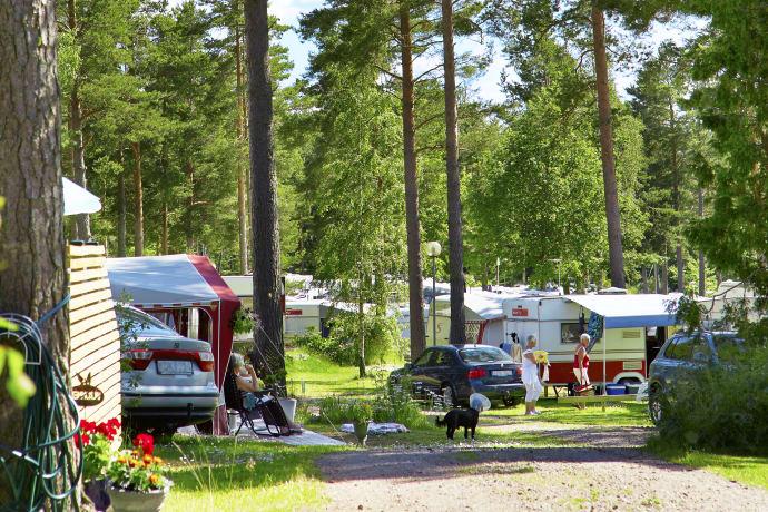 SCR visar på en ovanligt stor ökning av camping