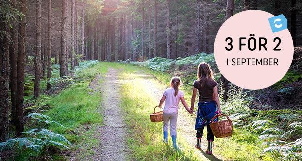 SCR erbjuder rabatt i september