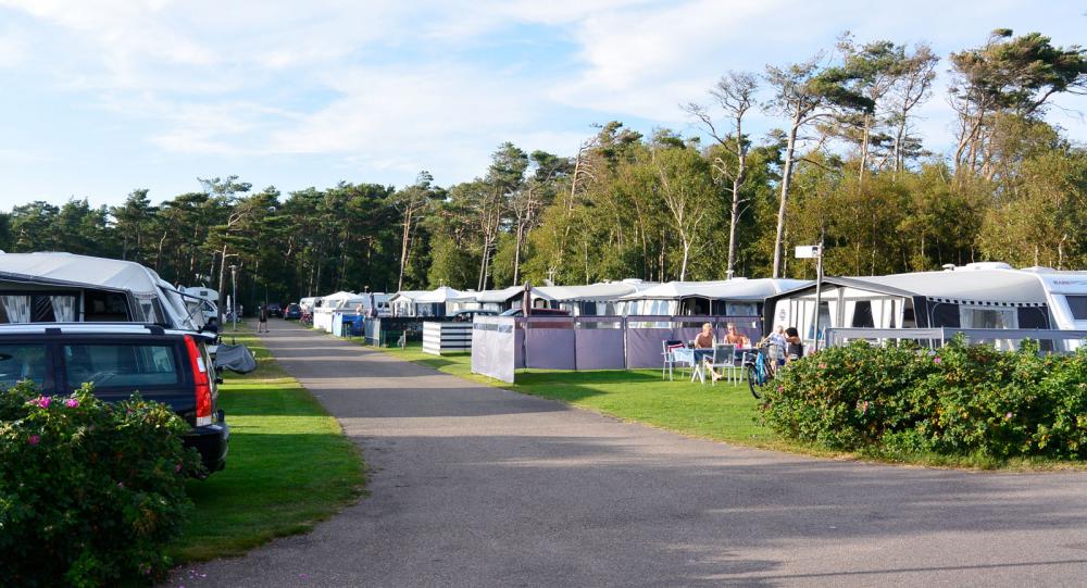 Platserna på First Camp Tylösand är mycket välskötta, liksom hela campingen.