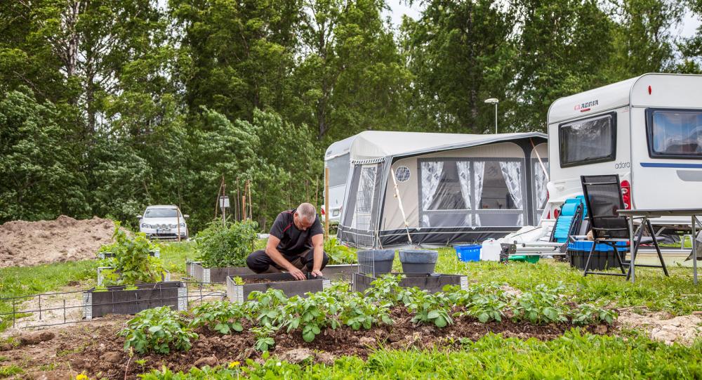 Här odlar campinggästerna egna grödor