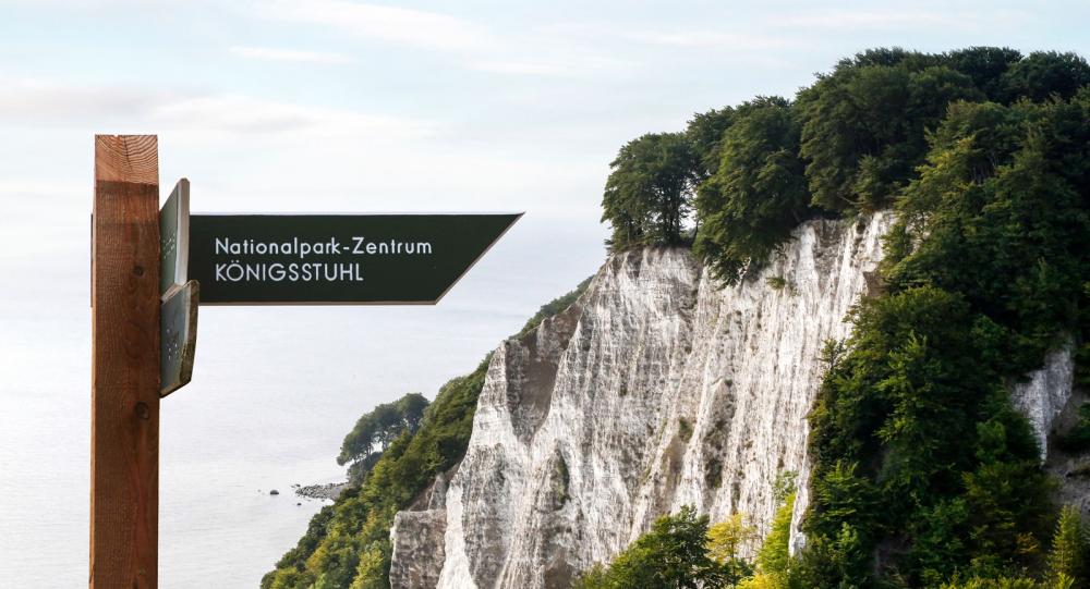 Kalksten ger spektakulärt vita klippbranter. Königsstuhl är 118 meter hög.