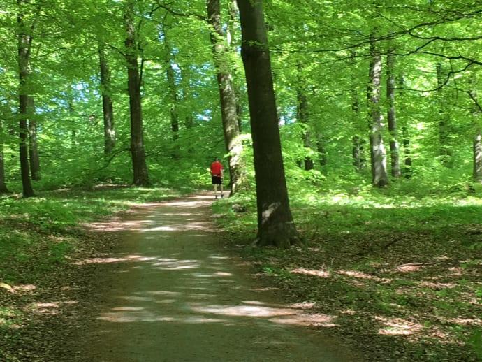 Torups bokskog blir naturreservat