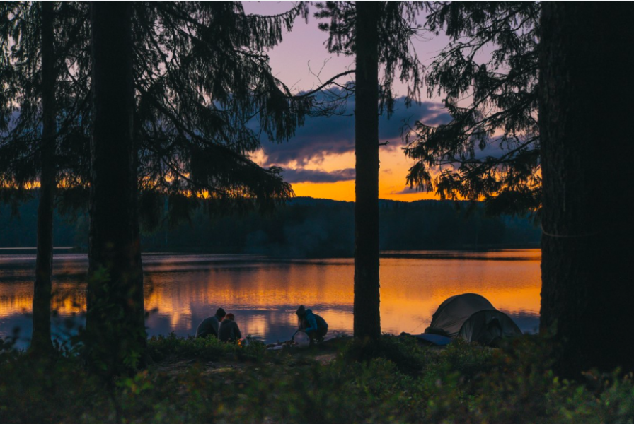 Fler än 16 miljoner gästnätter hos Svensk Camping