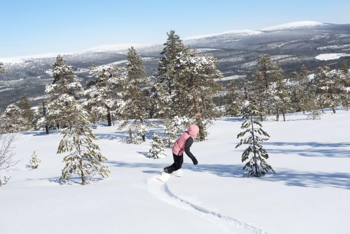 Stöten i Sälen har 21 liftar och 47 nedfarter. Mormors störtlopp är Dalarnas- och Sälens längsta nedfart med 3 060 meter.