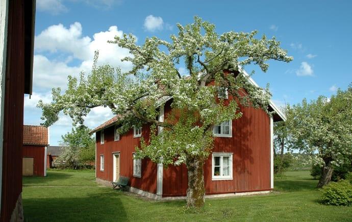 Kulturreservatet Vallby Sörgården firar tioårsjubileum