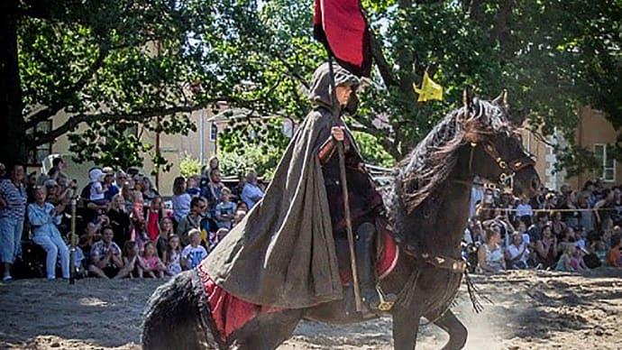 Medeltidsmarknad i Wadköping