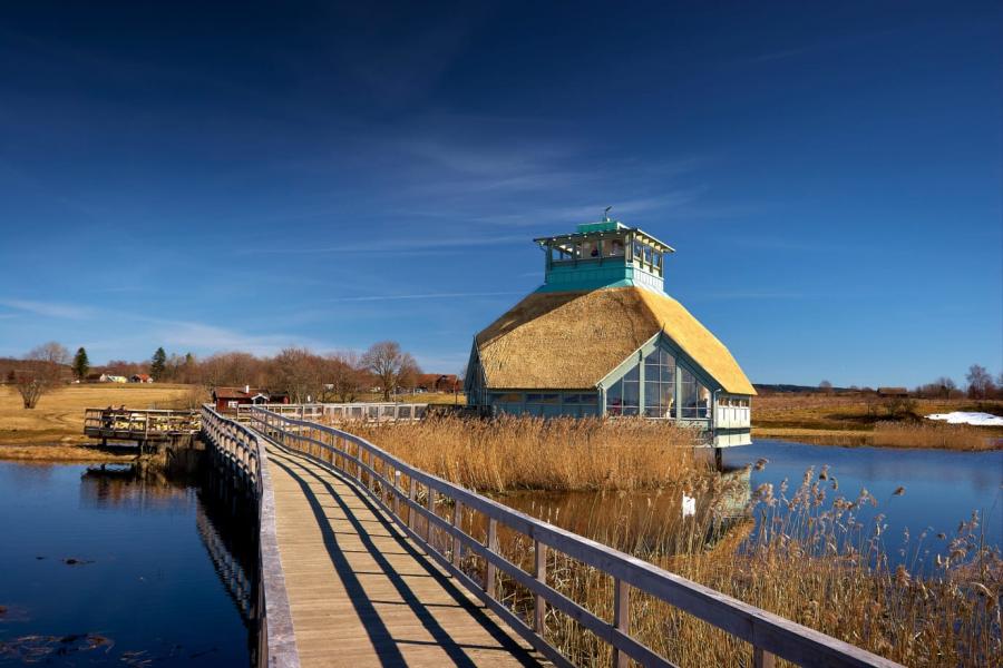 Nästan alla besökare vid Hornborgasjön nöjda