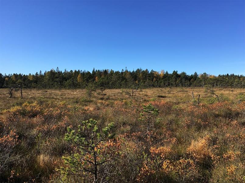 Nytt naturreservat i Dalsland