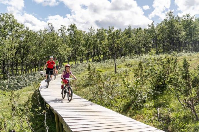 Sveriges största cykelarena får gemensamt liftkort