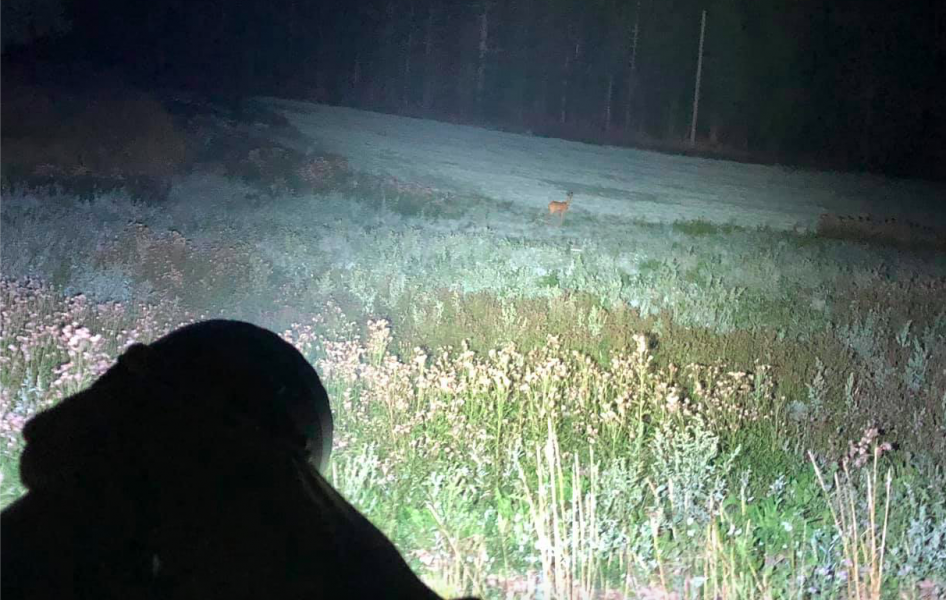 Stor och stark eller en mer lätthanterlig ficklampa