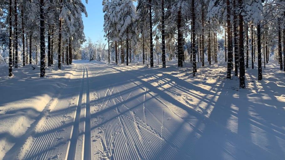 Inget Vasalopp men väl Vasaåket