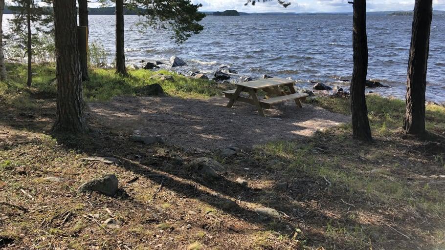 Många nya naturreservat i Dalarna