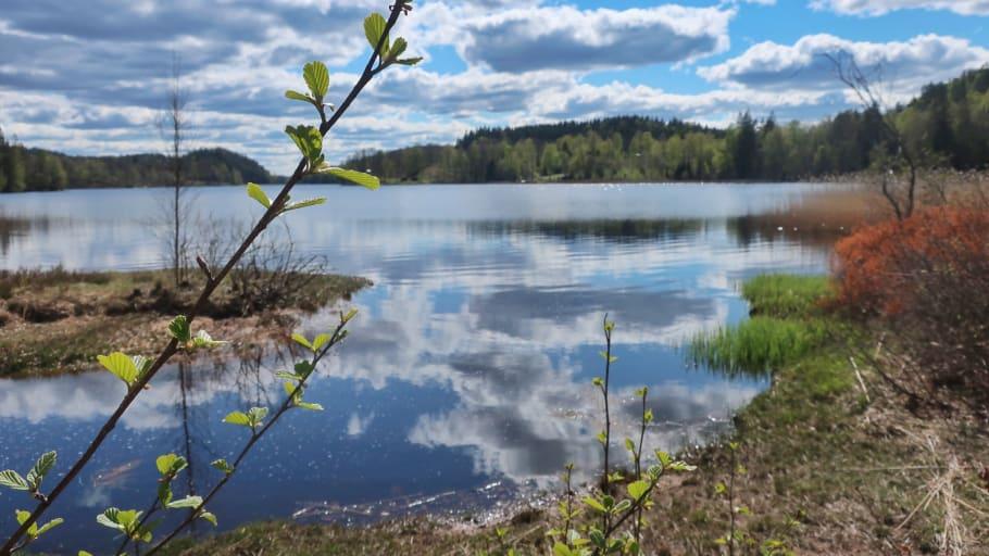Visit Halland tipsar om 12 mindre besökta naturmål