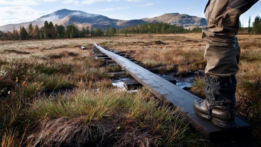 Digital storsatsning inom naturturism ska lyfta svenska destinationer