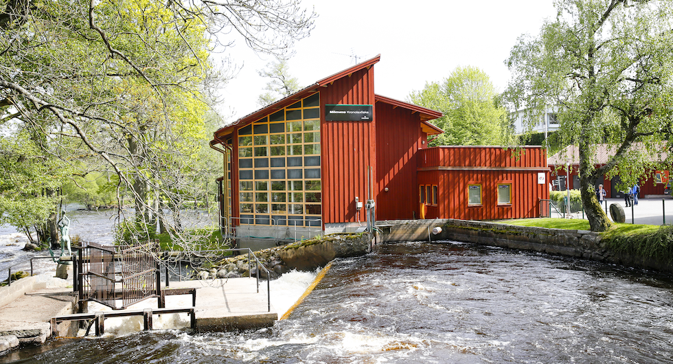 Resa: Vandra längs Mörrumsån