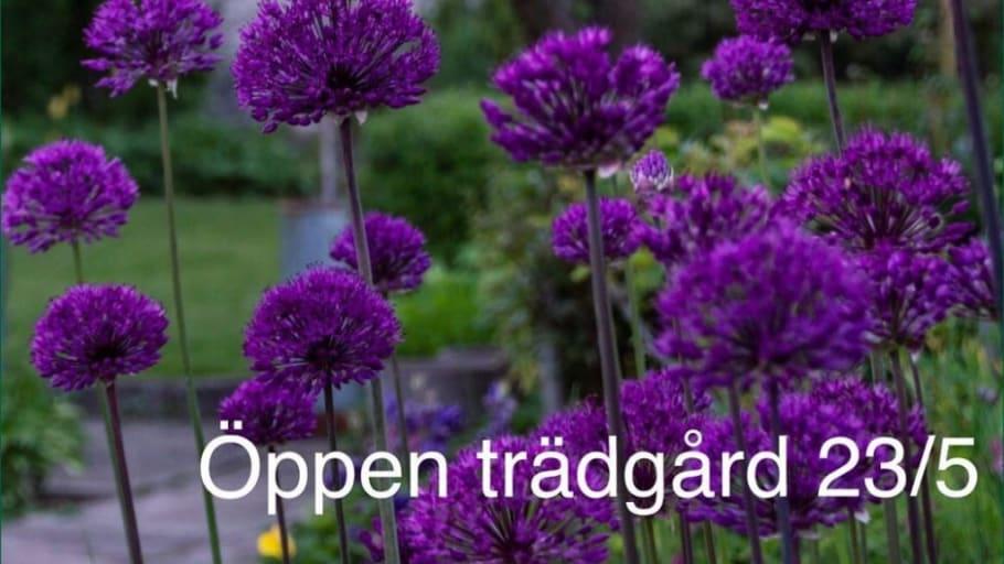 Trädgårdsentusiaster öppnar sina trädgårdar