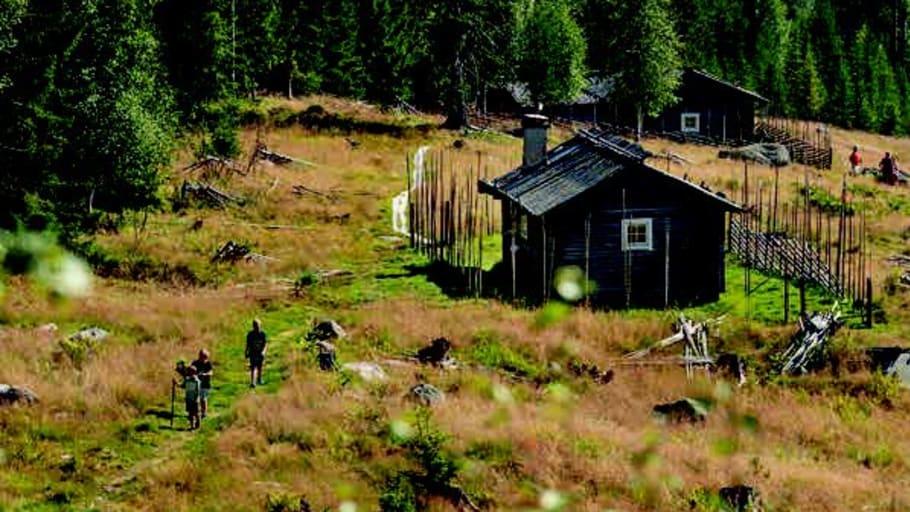 Utflyktsguide med natur- och kulturupplevelser