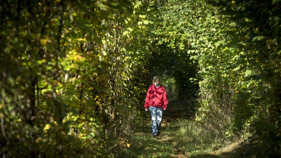 Besökskartan guidar till lugn natur utan trängsel