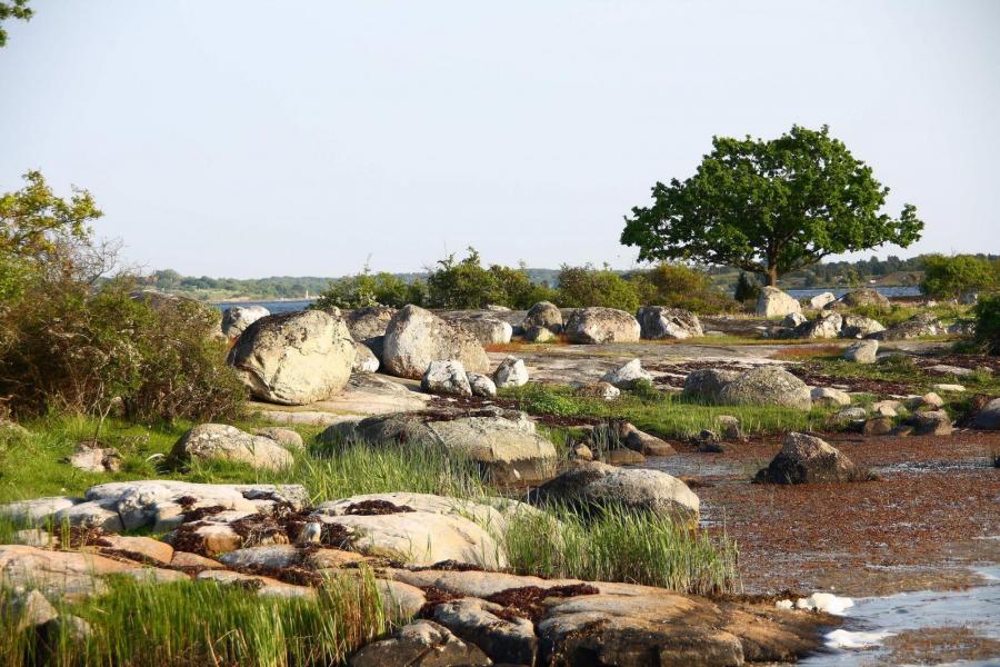 Fricamping i naturreservat begränsas
